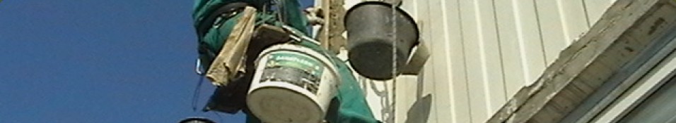 Primary Raster logo